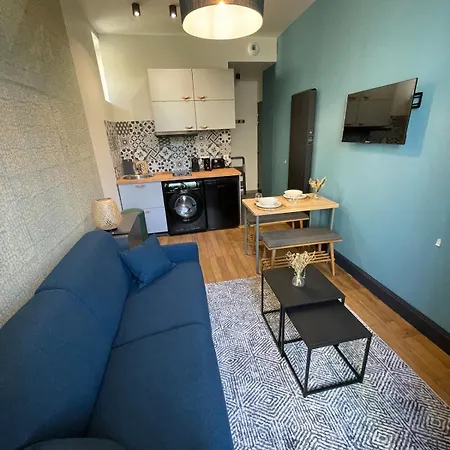 公寓 Furnished Downtown Aix Les Bains 102
